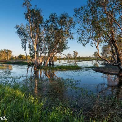 Yellow Water, Australia