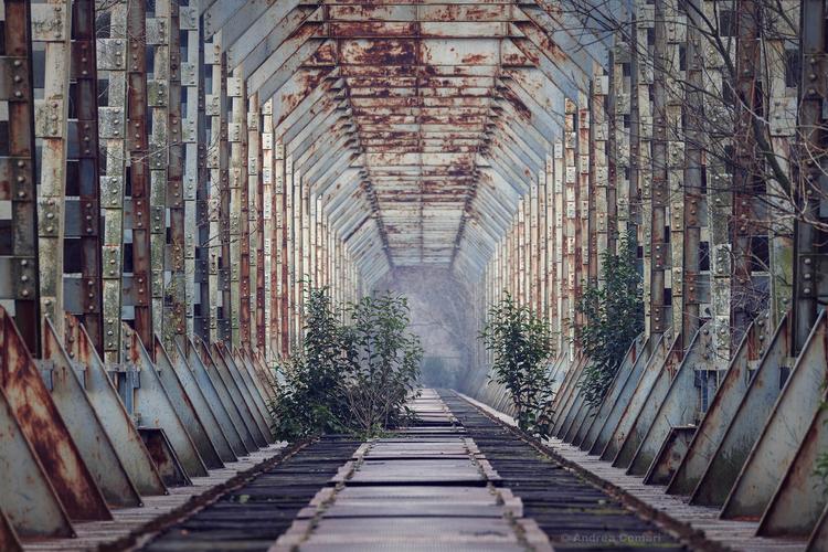 Abandoned Railroad Bridge, Gradisca-IT