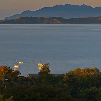 Algies Bay, New Zealand