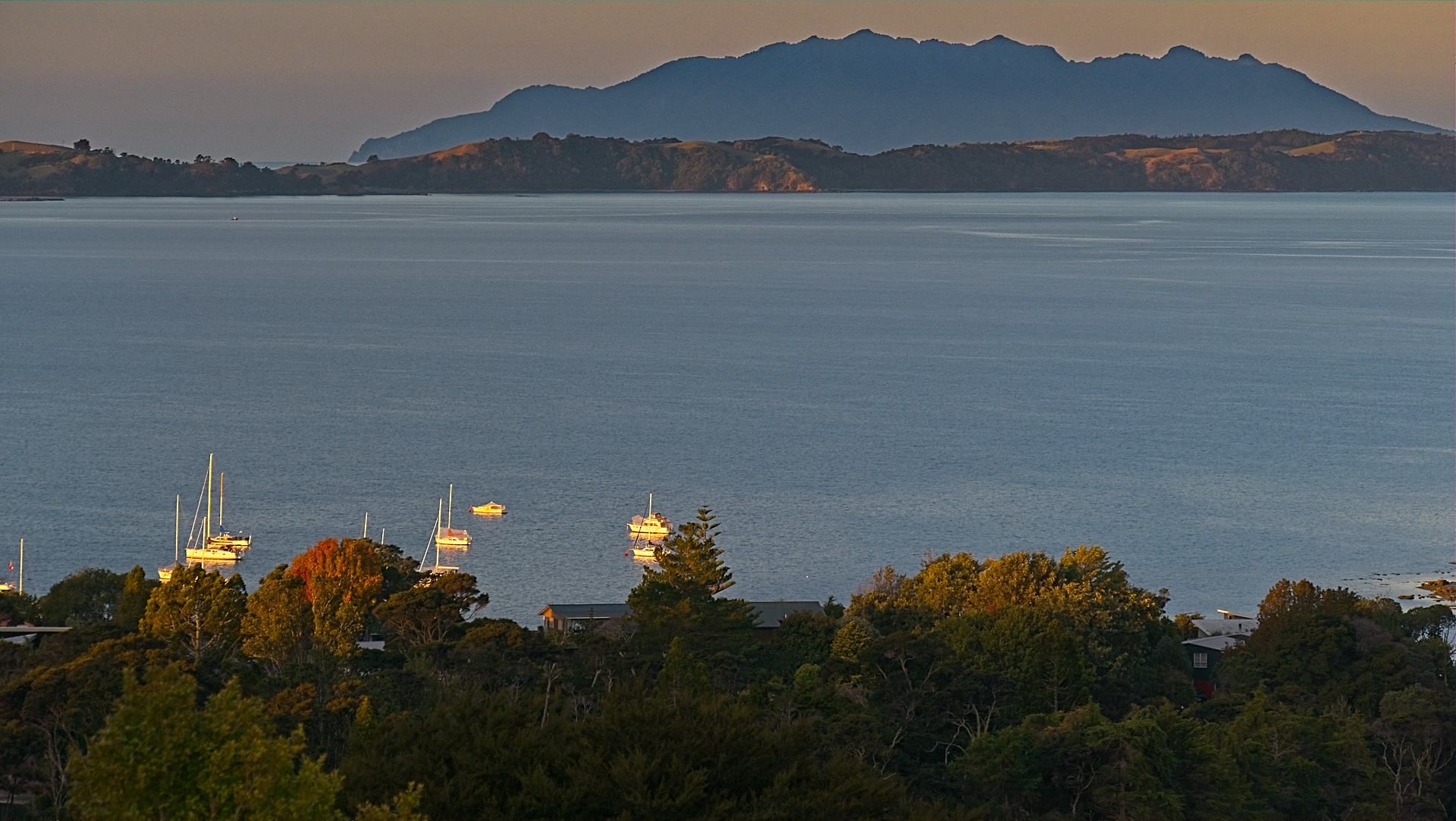 Algies Bay, New Zealand