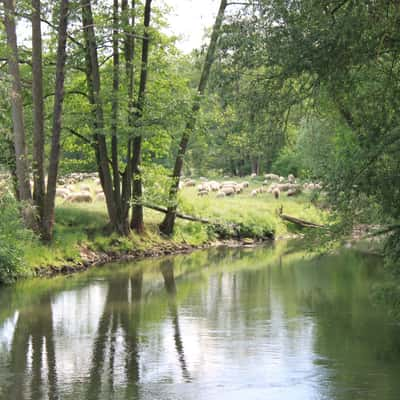 At the Pegnitz, Nuremberg, Germany