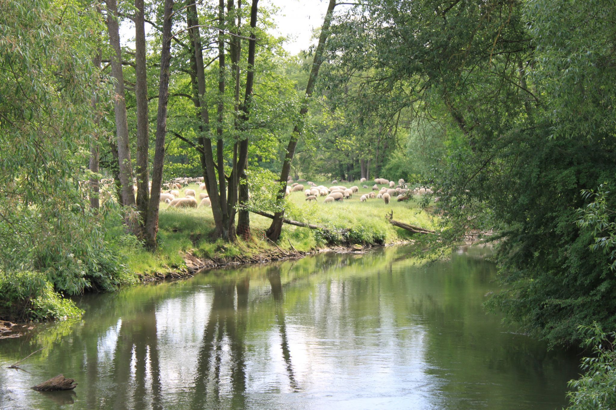 At the Pegnitz, Nuremberg, Germany