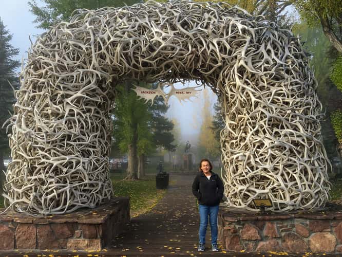 Antler Arch