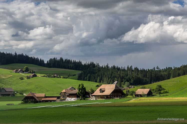 Arnisäge
