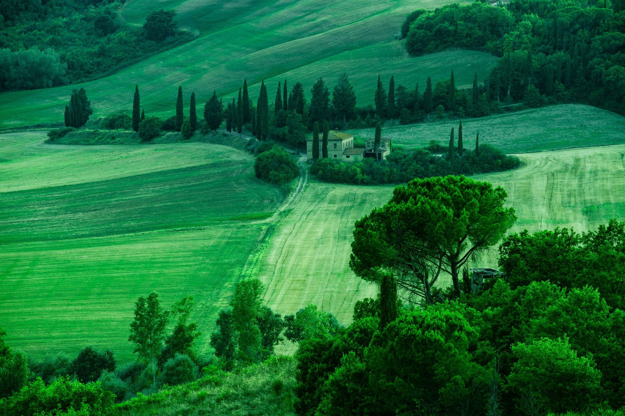 Asciano, Italy