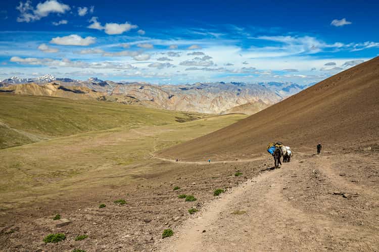 Auf dem Weg zum Kongmaru La, Markha Valley Trek