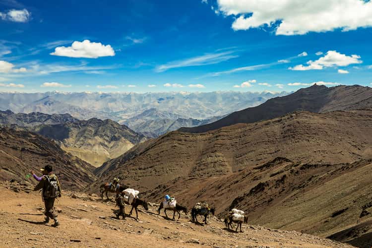 Auf dem Weg zum Kongmaru La, Markha Valley Trek