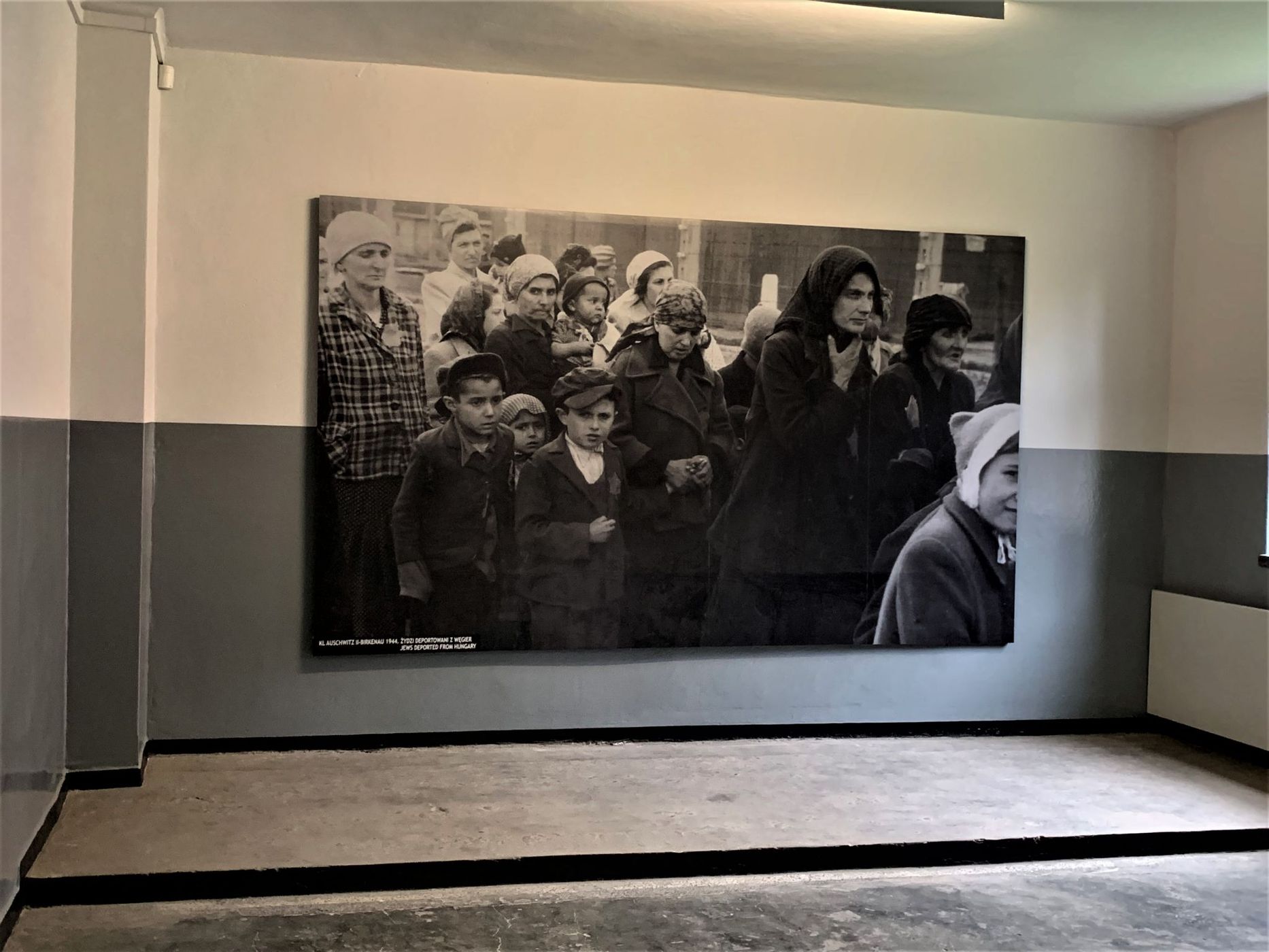 Auschwitz Museum, Poland