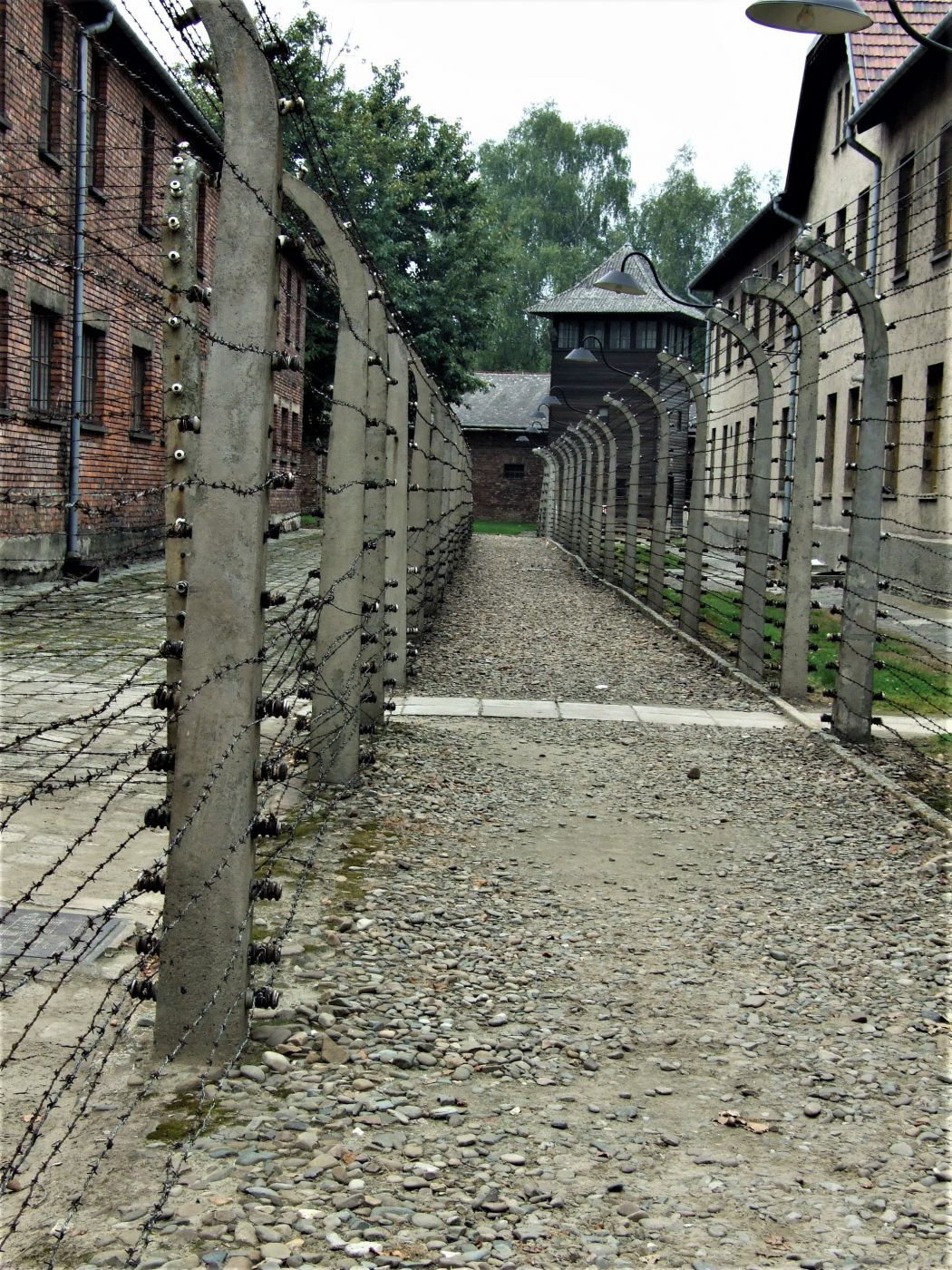 Auschwitz Museum, Poland
