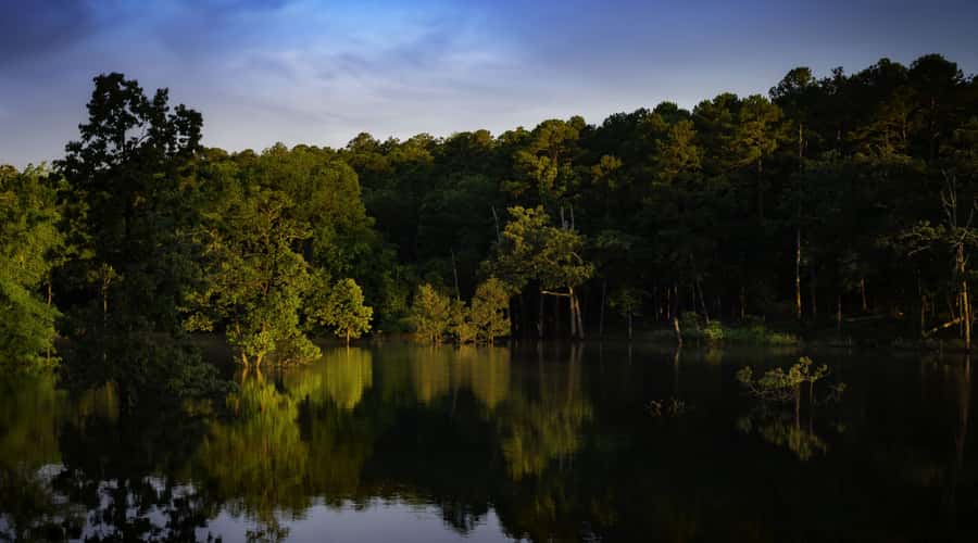 Beavers Bend State Park