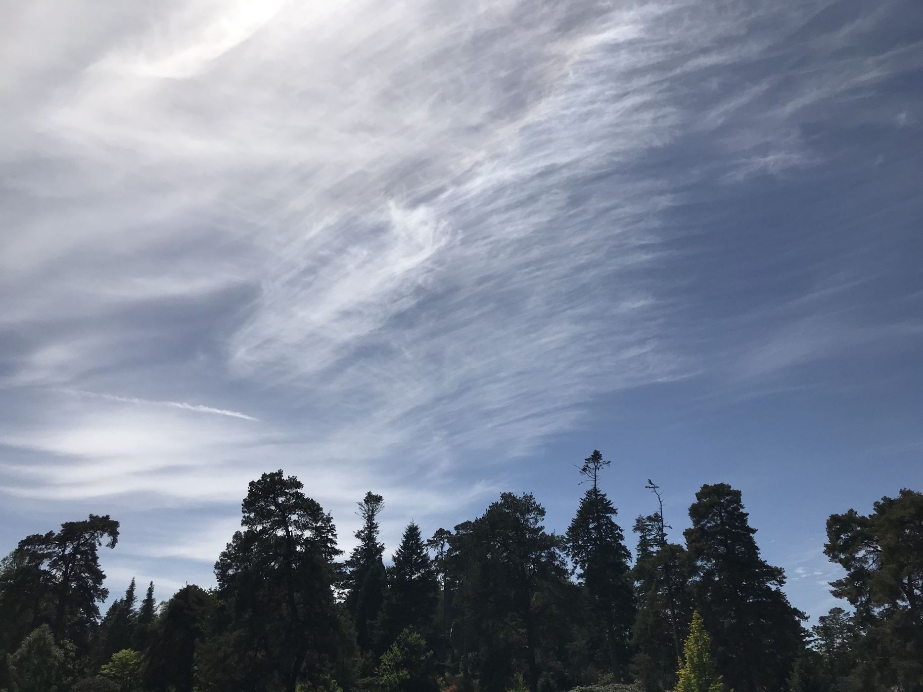 Bedgebury Pinetum / Forest, United Kingdom