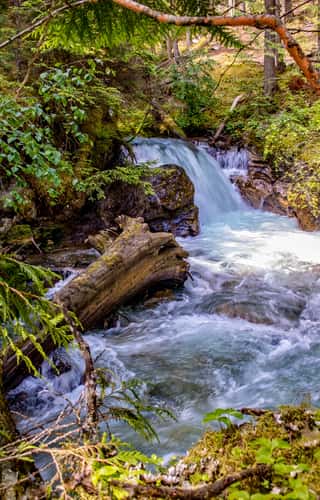Begbie Falls