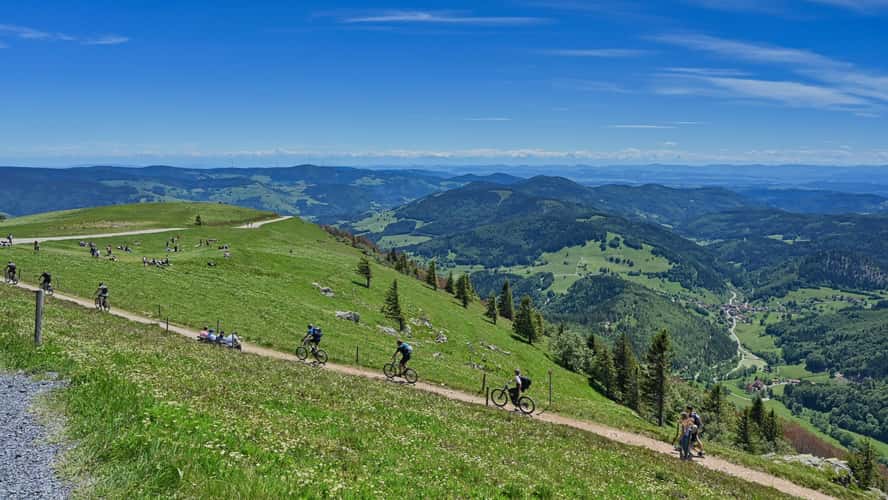 Black Forest