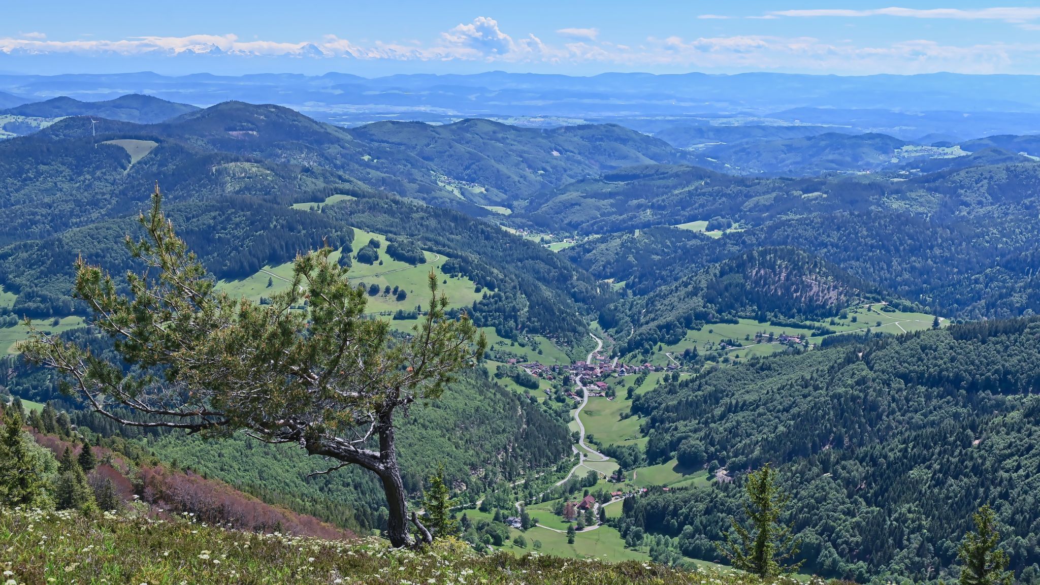 Black Forest, Germany
