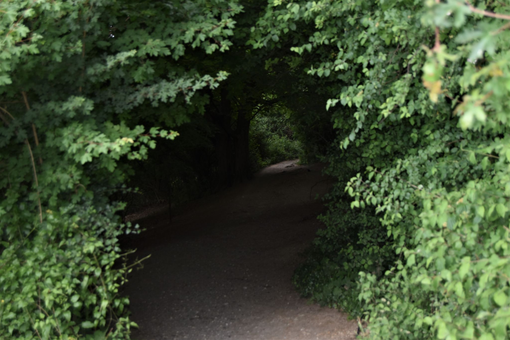 Box hill, United Kingdom