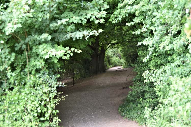 Box hill