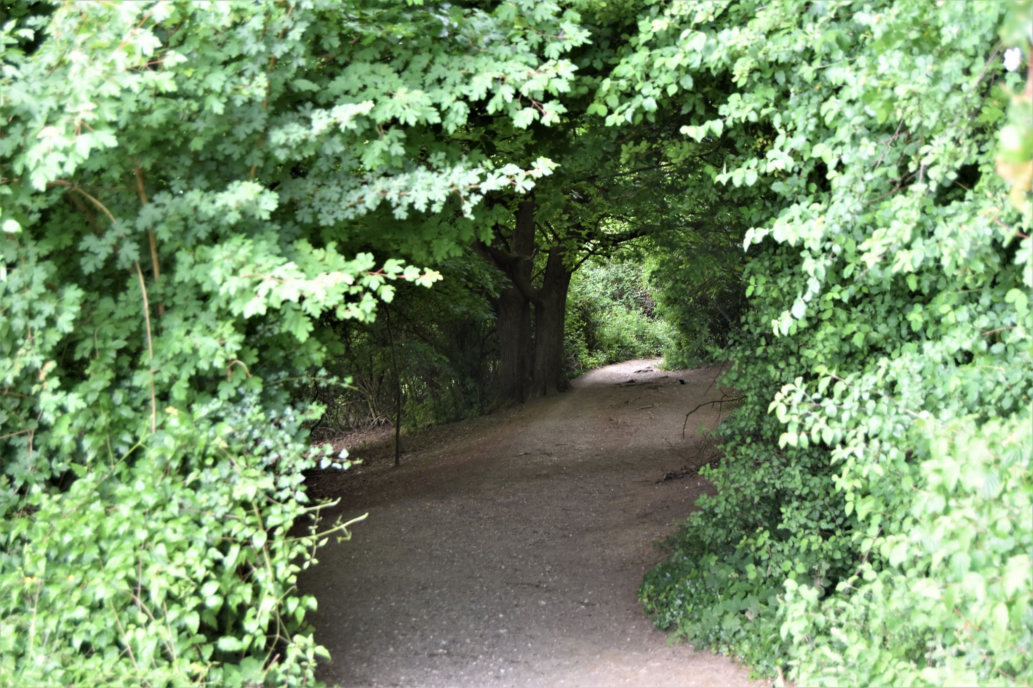 Box hill, United Kingdom