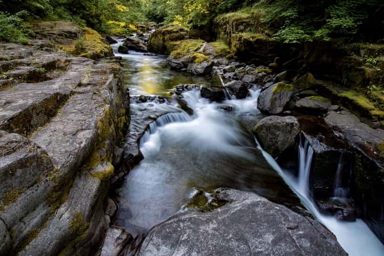 Brice Creek