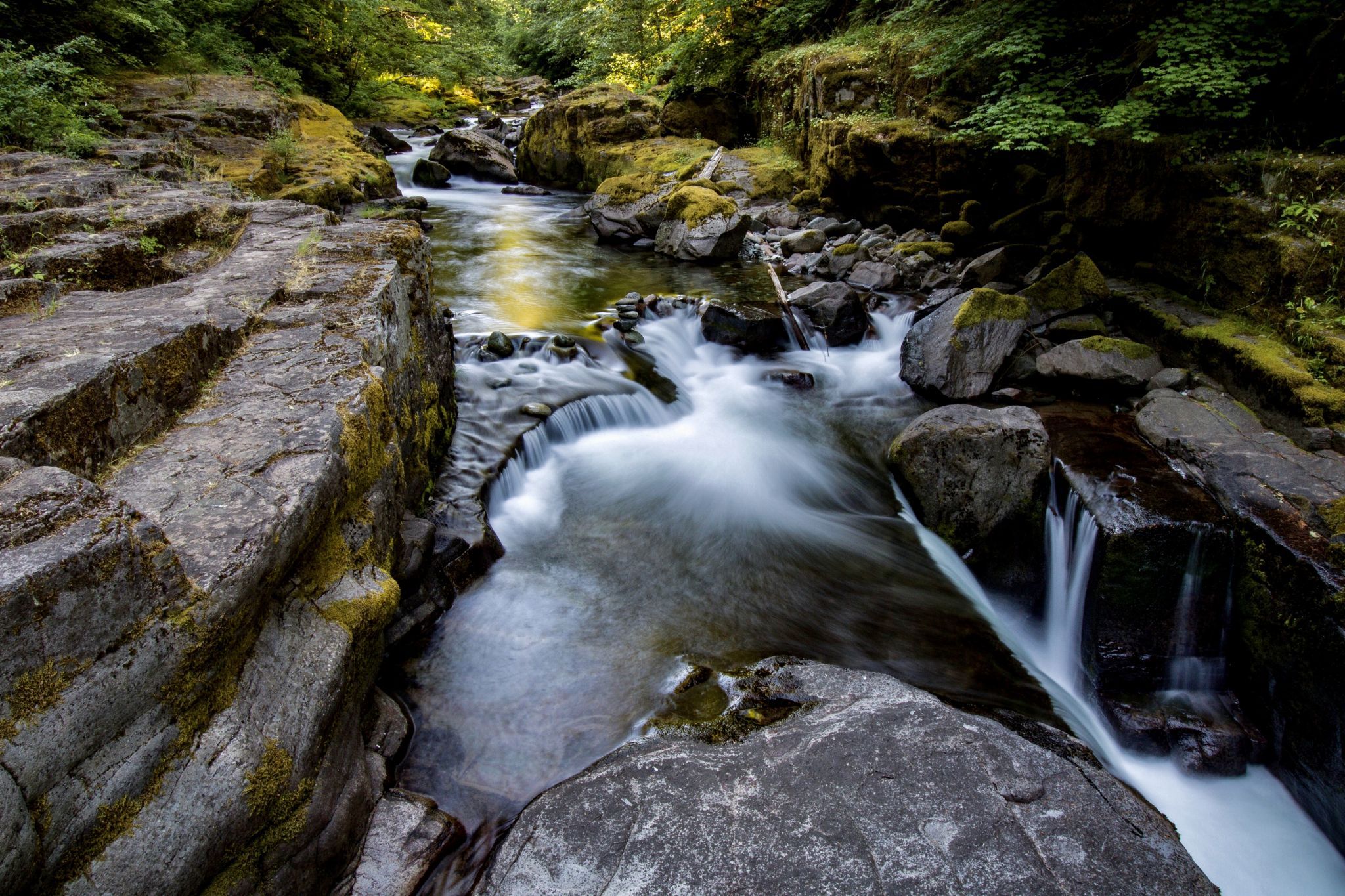 Brice Creek, USA
