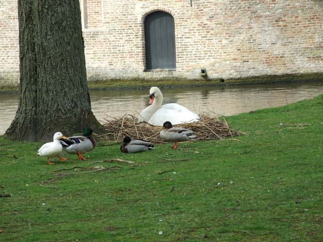 Bruges city centre