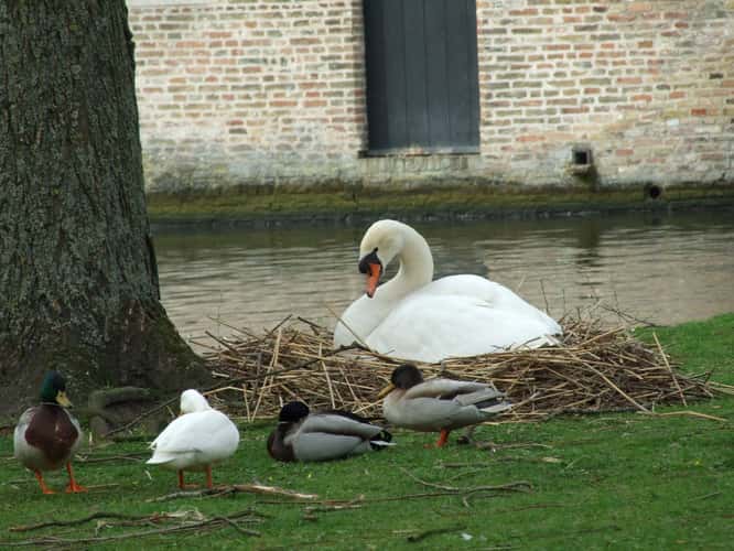 Bruges city centre