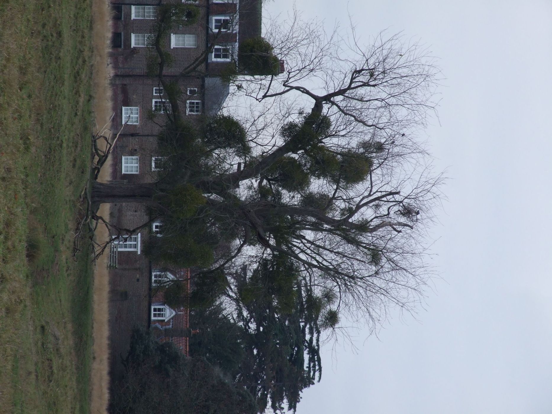 Bushy Park, United Kingdom