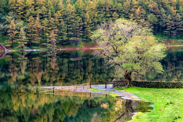 Buttermere