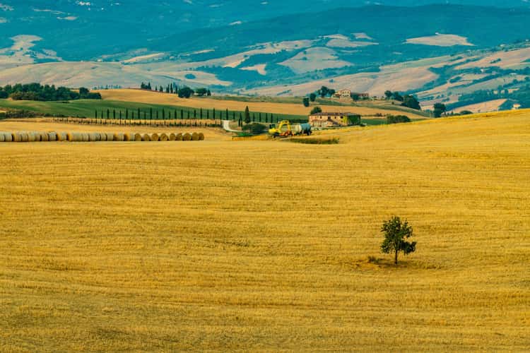Cappella della Madonna di Vitaleta
