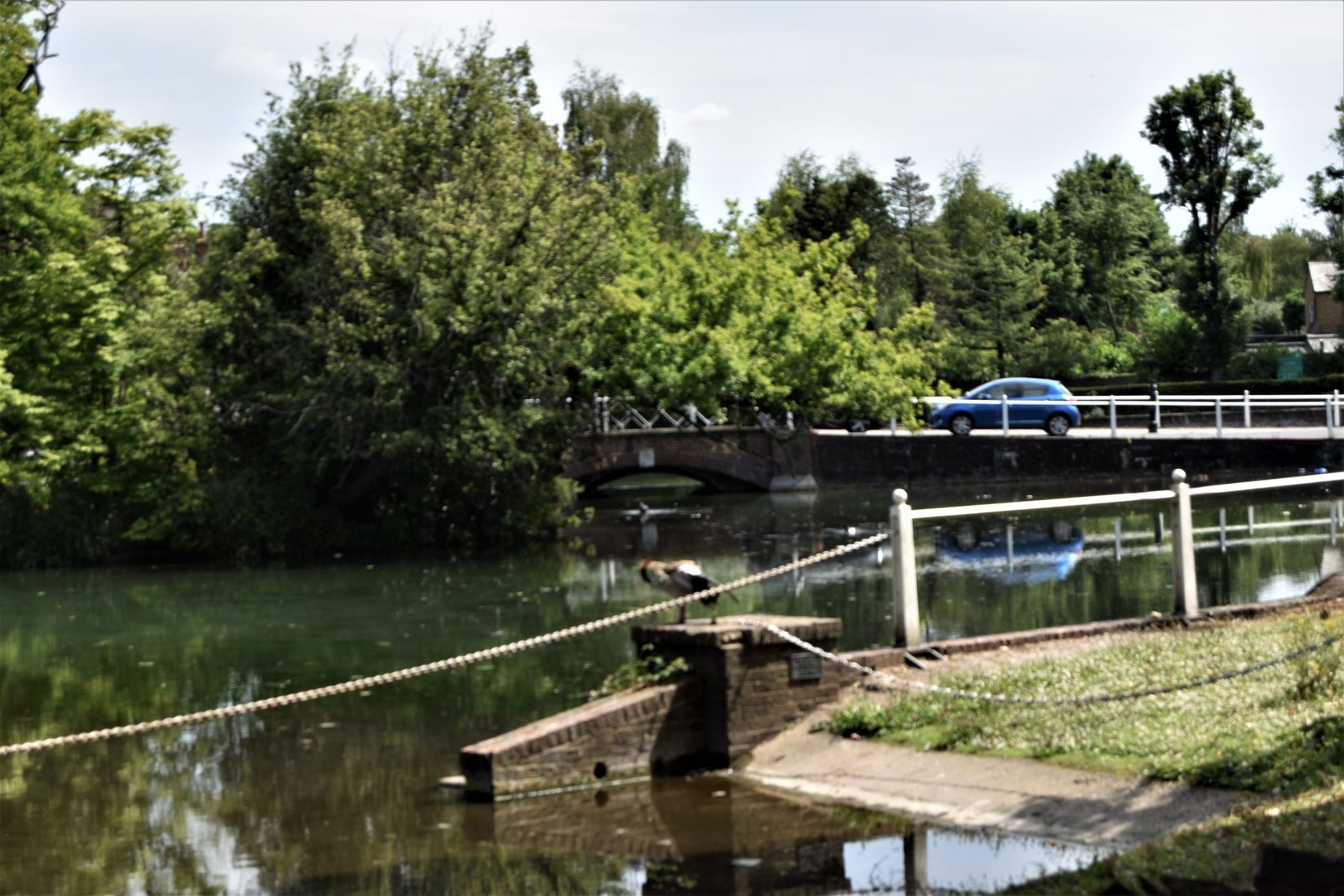 Carshalton Ponds, United Kingdom