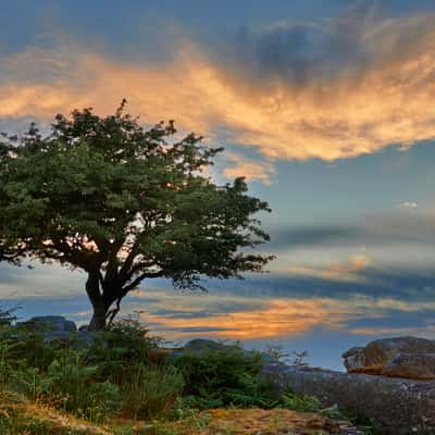 Combestone Tor, United Kingdom