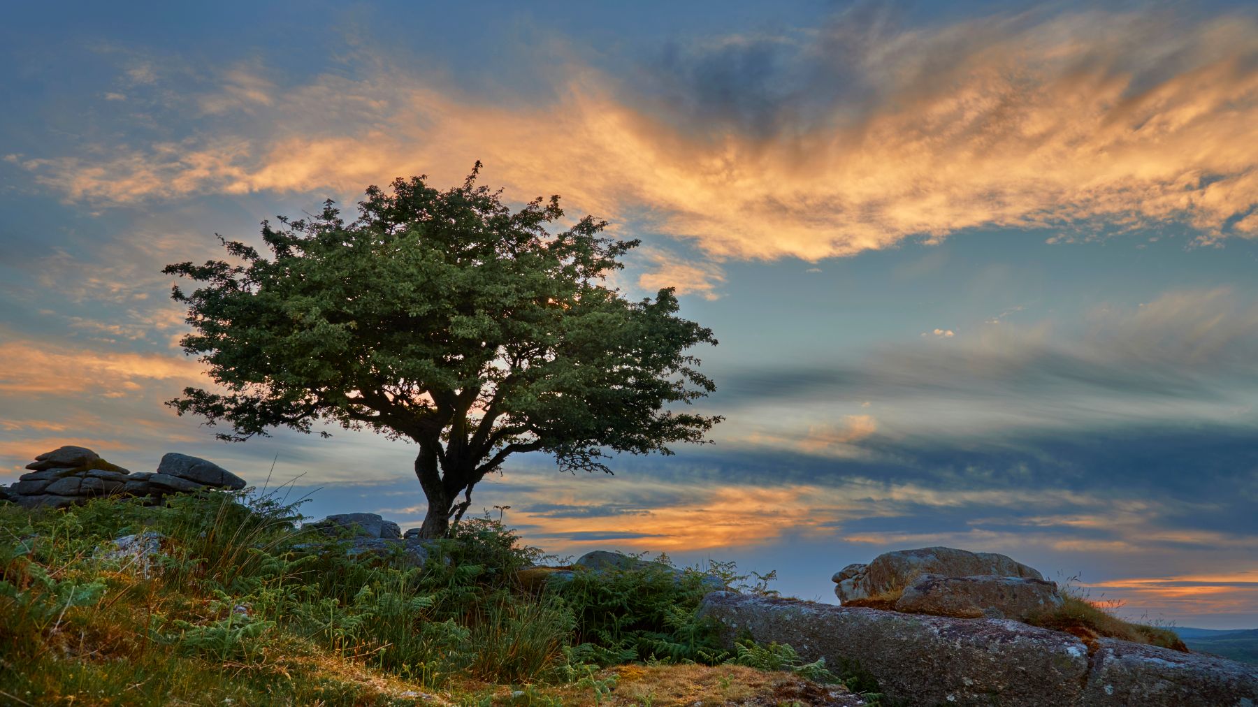 Combestone Tor, United Kingdom