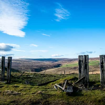 Crawleyside Fence Posts, United Kingdom