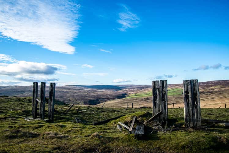 Crawleyside Fence Posts