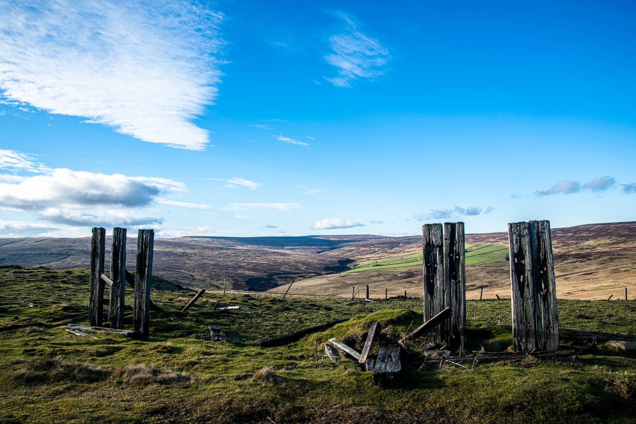 Crawleyside Fence Posts, United Kingdom