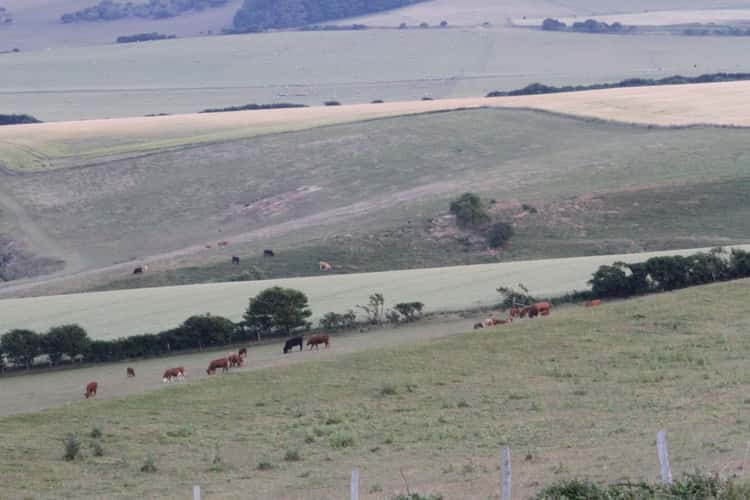 Cuckmere Valley, England