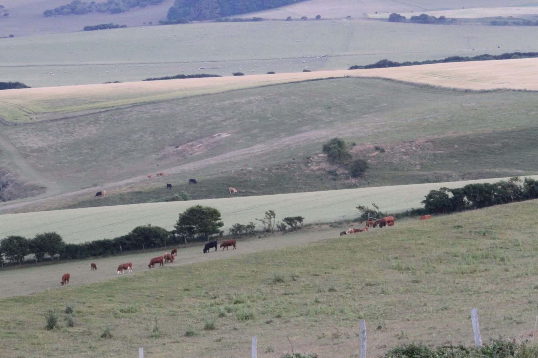 Cuckmere Valley, England, United Kingdom