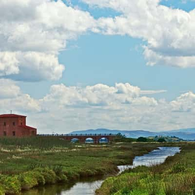 Diaccia Botrona, Italy