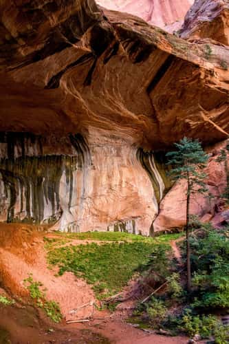 Double Arch Alcove