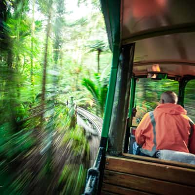 Driving Creek Railway, New Zealand