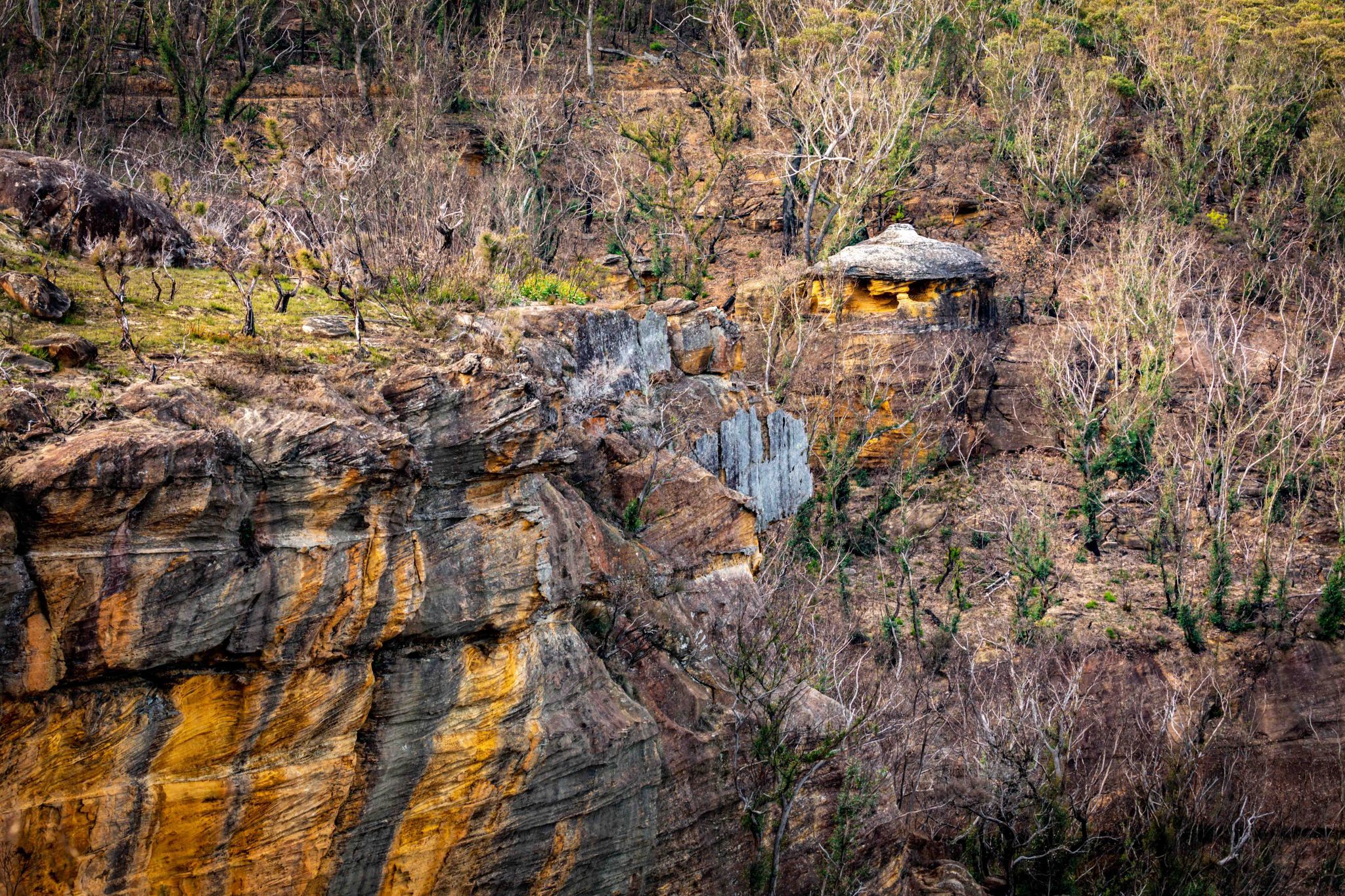 Du Faurs Rocks Lookout Mt Wilson New South Wales, Australia
