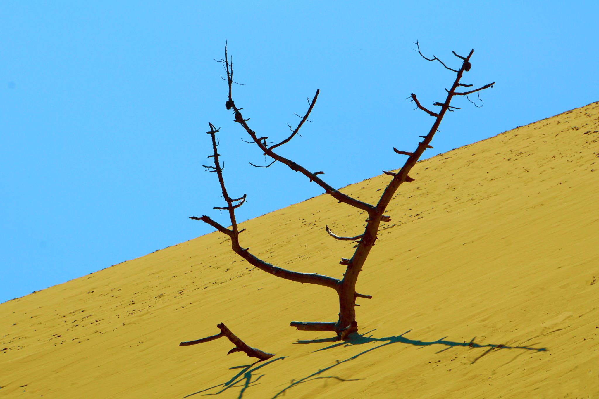 Dune du pilat, France