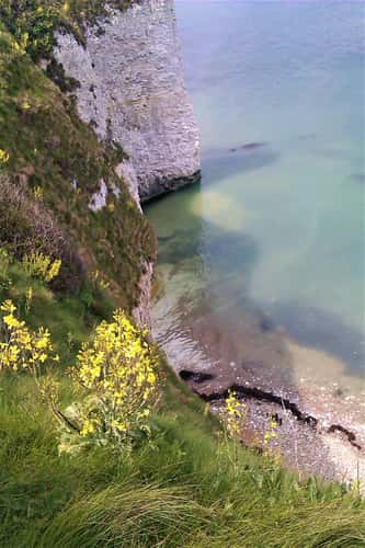 Durdle Door
