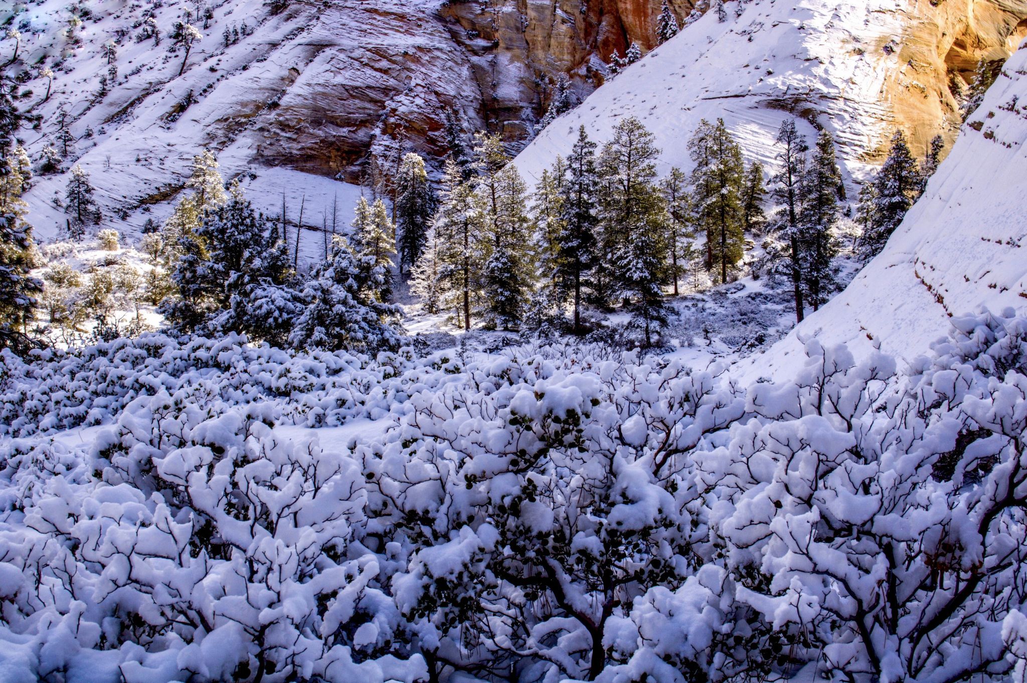East Zion, USA