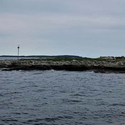 Eastern Egg Island, Maine, USA