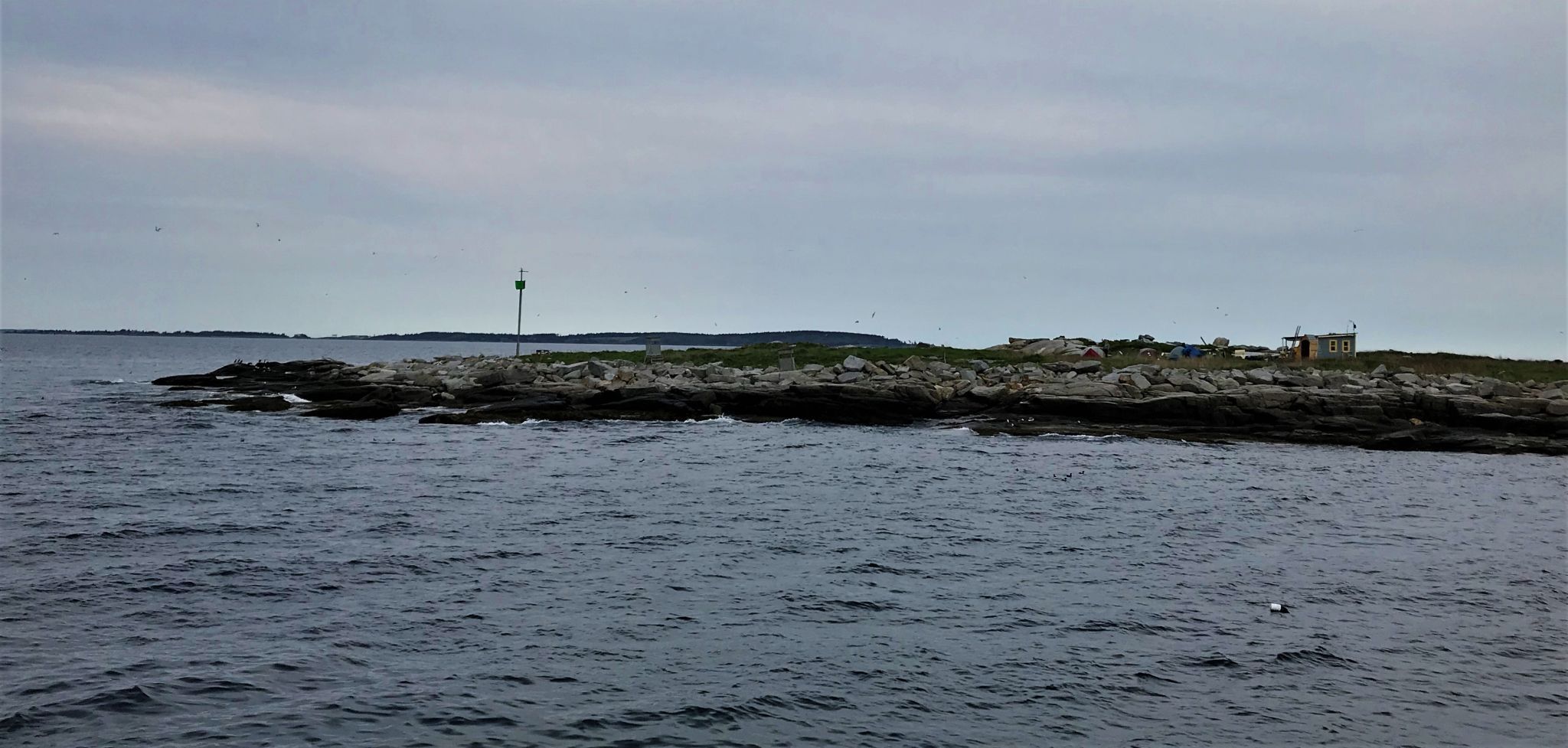 Eastern Egg Island, Maine, USA
