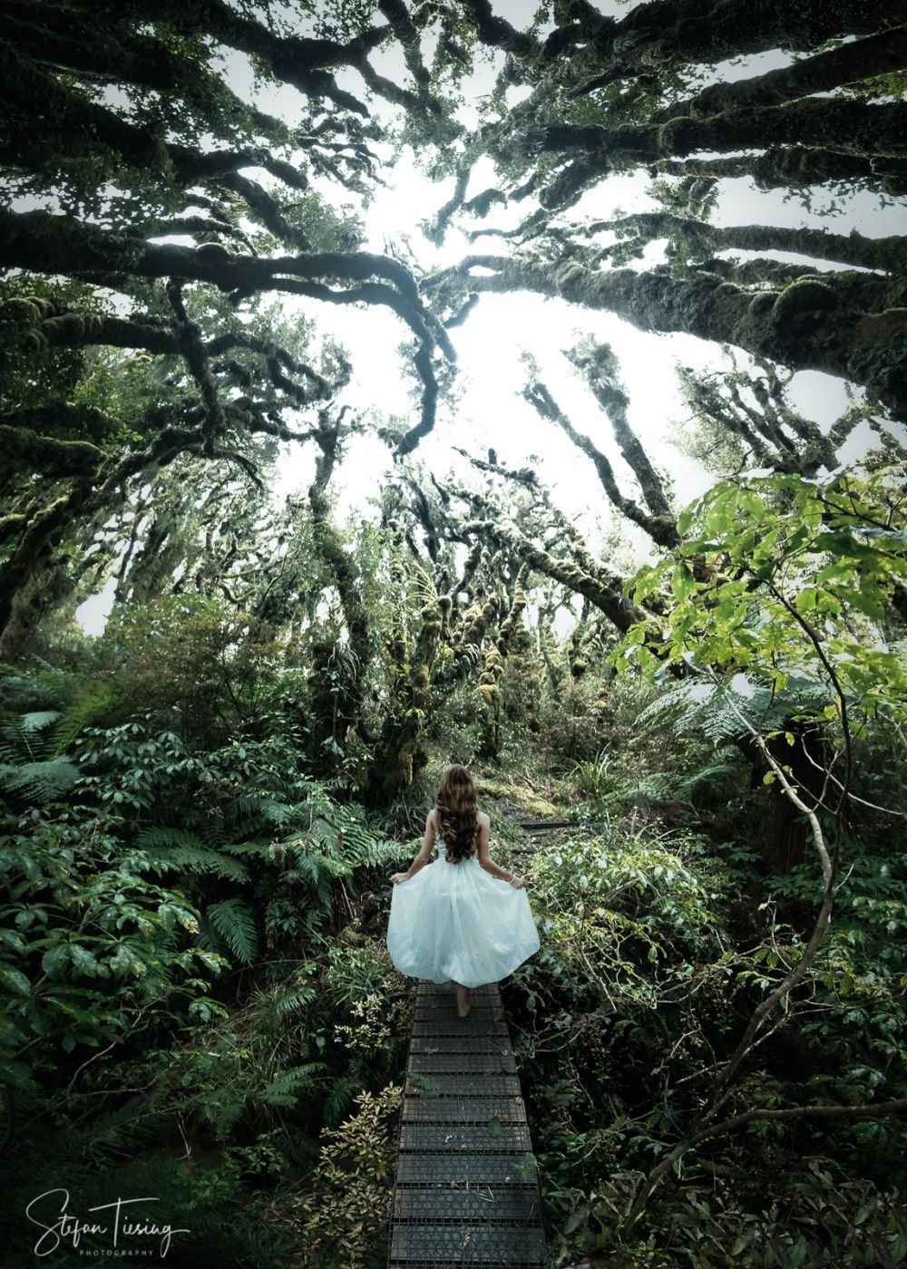 Enchanted Walk, New Zealand