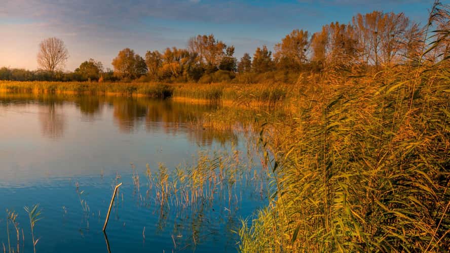 Etangs de la Mutche