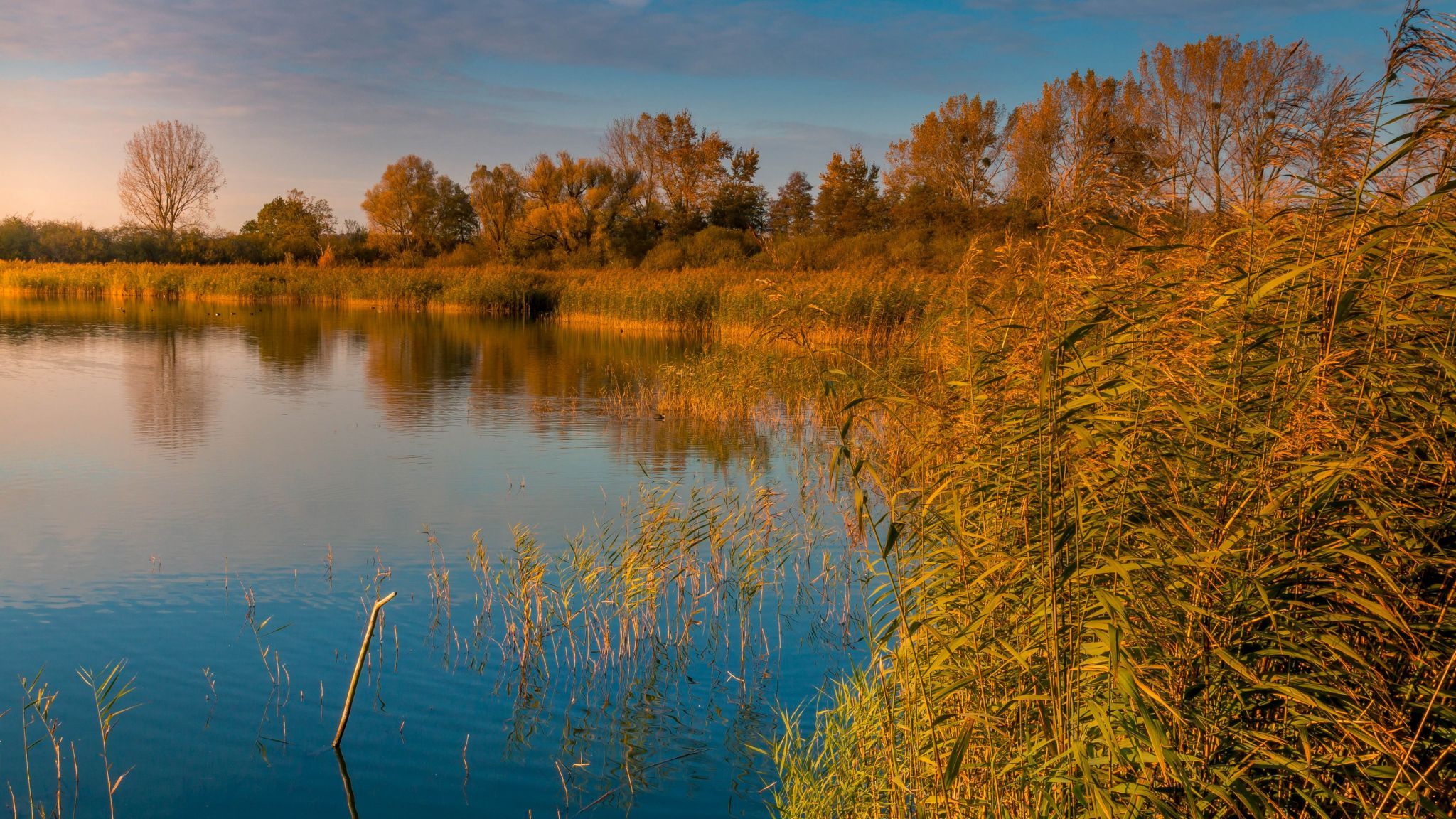 Etangs de la Mutche, France