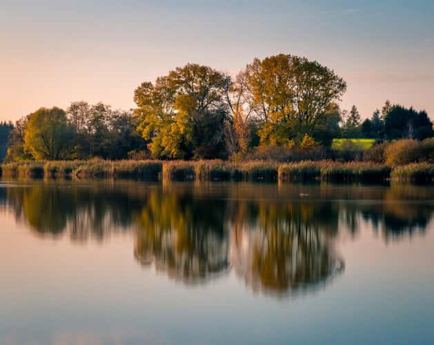 Etangs de la Mutche