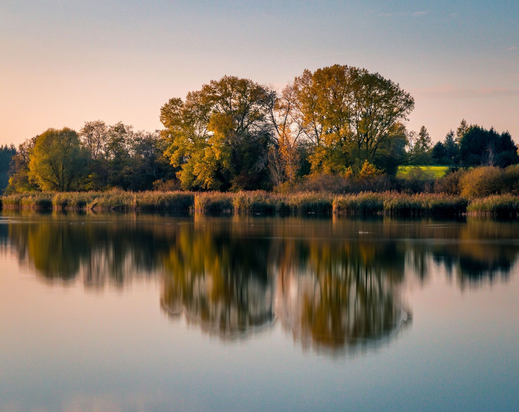Etangs de la Mutche, France